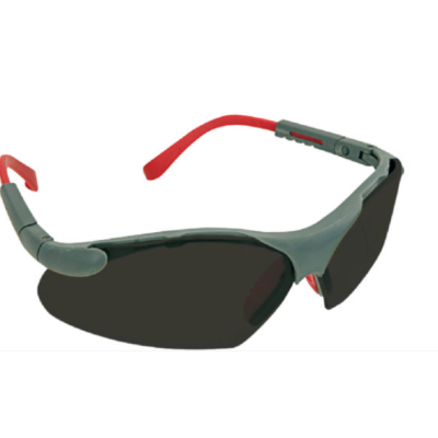 Lunettes CLIMAX 596-G