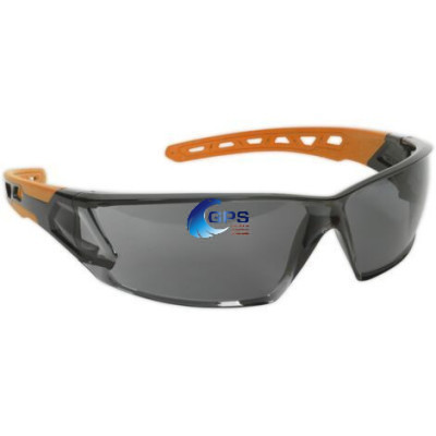 Lunettes CLIMAX 597-G