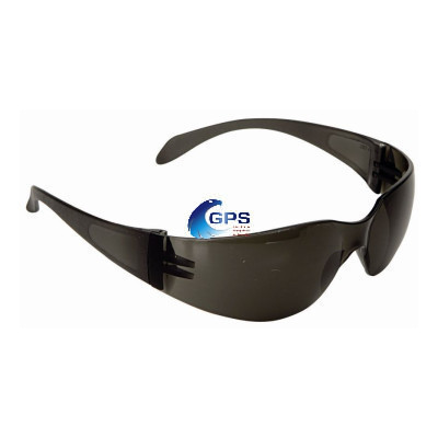 Lunettes CLIMAX 590-G
